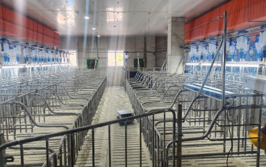 창녕상철농장 스톨 및 급이기