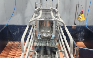 창녕상철농장 ICT모돈급이기