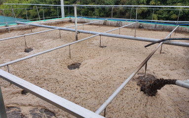 액비순환 사진 20250529-11