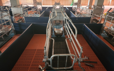 상철농장_내부기자재 5