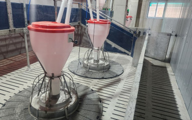 창녕상철농장 원형급이기