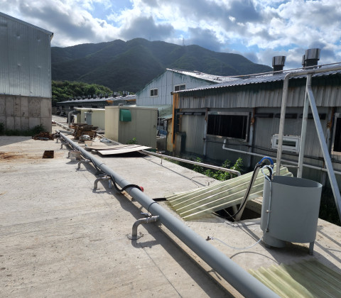 액비순환 사진 20250529-22