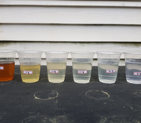 정화방류_20250529_1