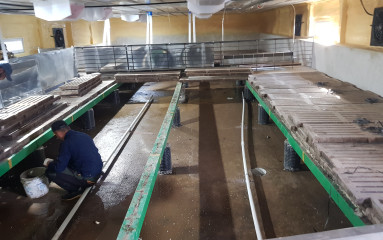 액비순환 사진 20250529-7