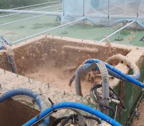 액비순환 영상 20250529-2