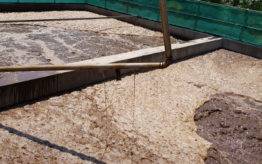 액비순환 사진 20250529-3