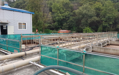 액비순환 사진 20250529-4