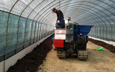 지렁이농장 사진_20250529_3